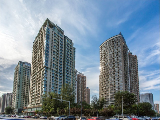 常州锆刚玉钢纸砂盘16